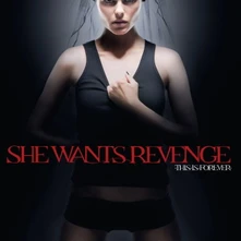 She Wants Revenge, Vinyl This is Forever