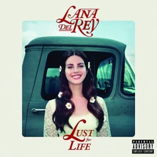 Lana Del Rey, Vinyl LUST FOR LIFE