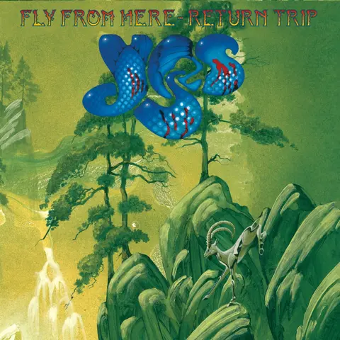FLY FROM HERE (RETURN TRIP)