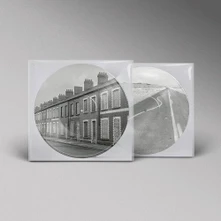 Manic Street Preachers, Vinyl Critical Thinking (Picture Vinyl)