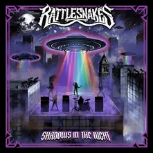 SHADOWS IN THE NIGHT (CD)