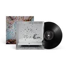 Vinyl LIFE IN SMALL SPACES