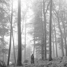 Taylor Swift, CD Folklore (Deluxe Edition) (In The Trees)