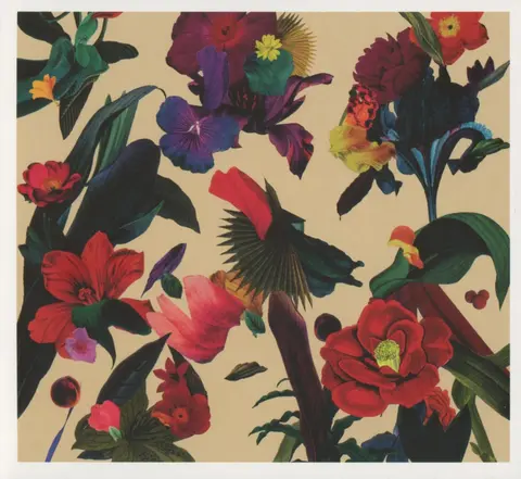 Washed Out – CD PARACOSM