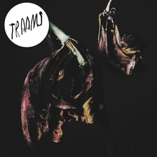 TRAAMS, Vinyl GRIN