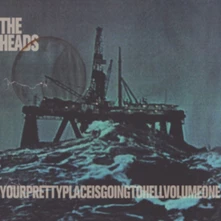 Heads., Vinyl YOURPRETTYPLACEISGOINGTOHELL