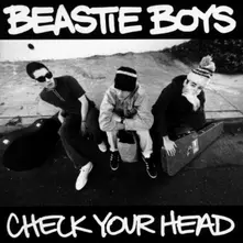 Beastie Boys – CHECK YOUR HEAD/R (Vinyl)