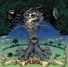 Vinyl APE SKULL