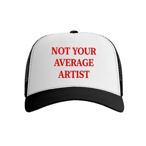 Not Your Average Artist