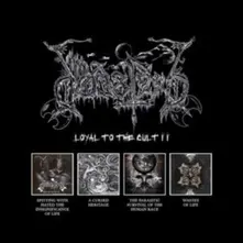 DODSFERD - LOYAL TO THE CULT II thumbnail