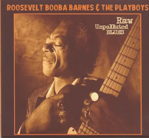 CD RAW UNPOLLUTED BLUES