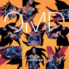 Vinyl LIBERATOR