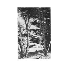 Vinyl GENTLE WILDERNESS