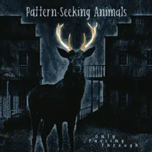 Vinyl Seeking Animals - Only Passing Through