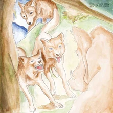 Vinyl WOLF OF THE COSMOS