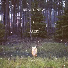 DAISY thumbnail