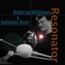 Vinyl RESONATOR