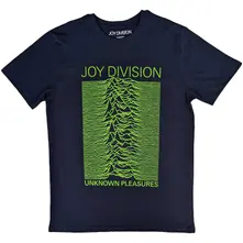 Unknown Pleasures FP