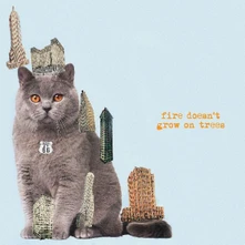 The Brian Jonestown Massacre, Vinyl FIRE DOESN'T GROW ON TREES