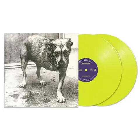 Alice In Chains