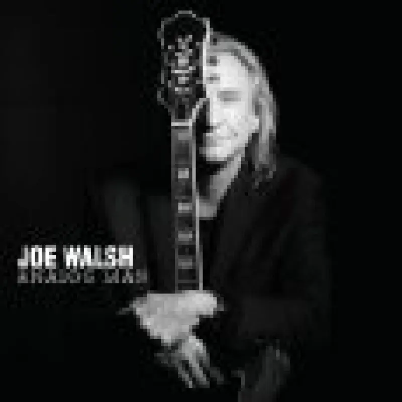Joe Walsh – ANALOG MAN (CD)
