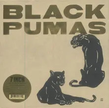 BLACK PUMAS thumbnail