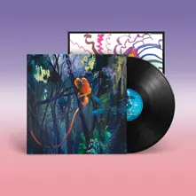 Bonnie 'Prince' Billy, Vinyl WE ARE TOGETHER AGAIN
