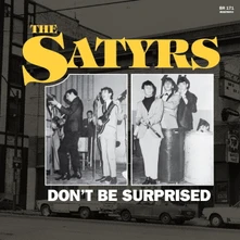 The Satyrs, Vinyl DON'T BE SURPRISED