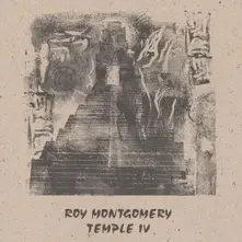 Vinyl TEMPLE IV