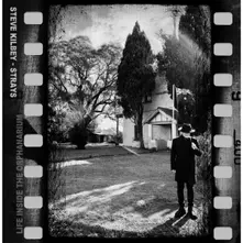 Steve Kilbey, CD STRAYS (LIFE INSIDE THE ORPHANARIUM)