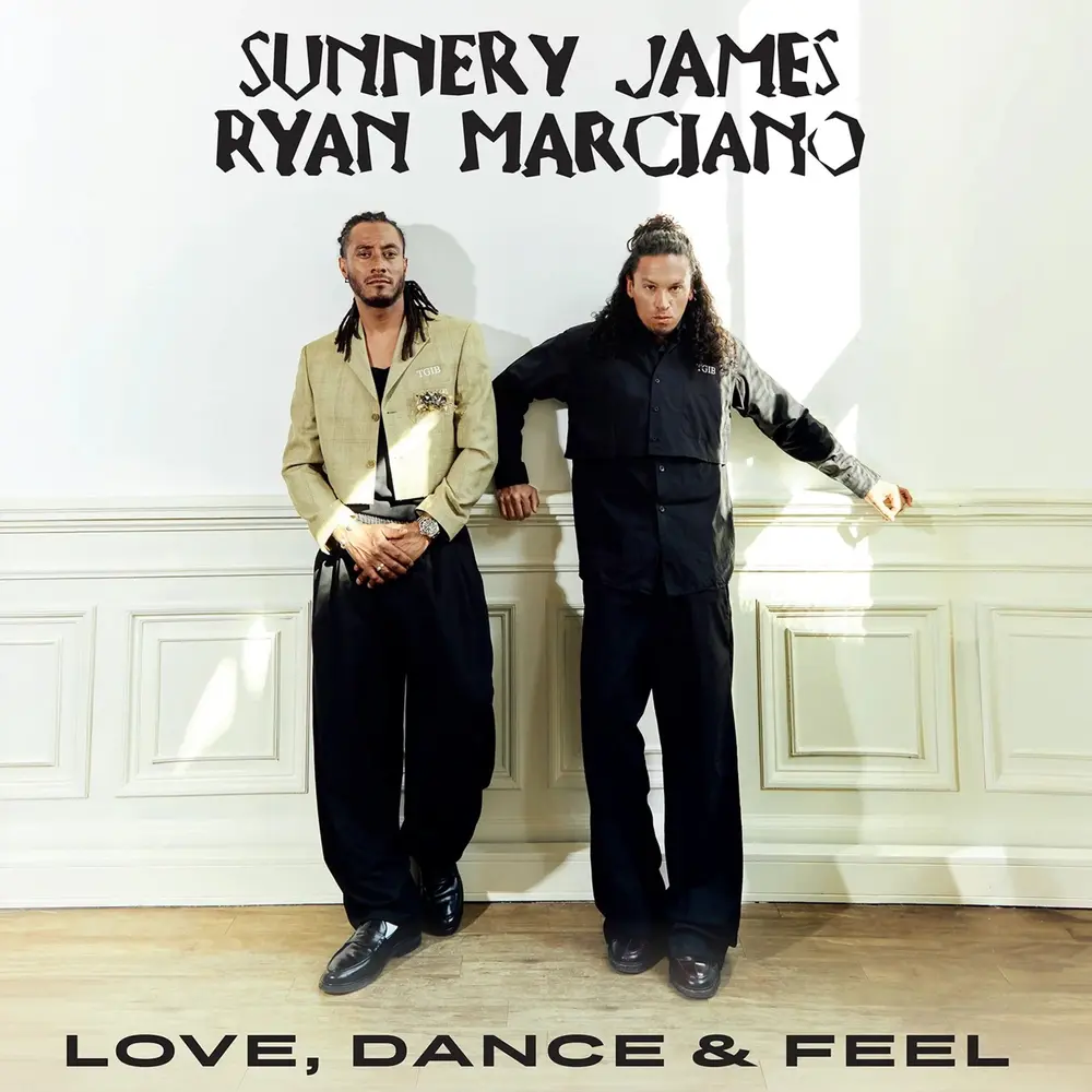 LOVE, DANCE & FEEL (Vinyl)