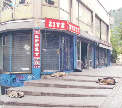 Živé Kvety – CD Spúšť (2010)