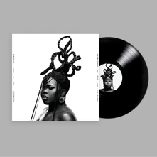 Vinyl EVERYTHING HAS CHANGED