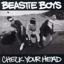 Vinyl CHECK YOUR HEAD/R