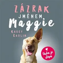 Zázrak jménem Maggie thumbnail