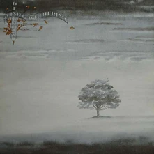 Vinyl WIND & WUTHERING