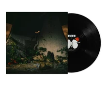 The Plot In You, Vinyl THE PLOT IN YOU