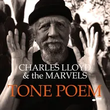 Vinyl TONE POEM