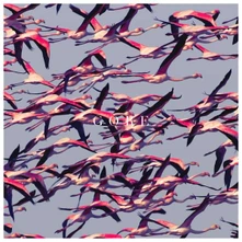 Deftones, Vinyl GORE