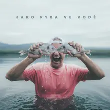 DJ Wich – Jako ryba ve vodě (CD)