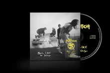 SCRATCH, CD Pull Like a Dog