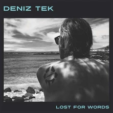 Deniz Tek, Vinyl LOST FOR WORDS