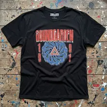1991 thumbnail