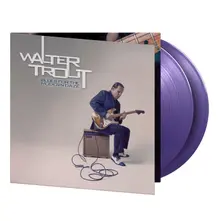 Vinyl Blues For the Modern Daze
