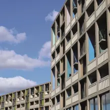 Vinyl 24 SONGS