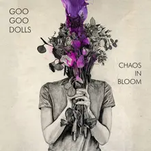 CHAOS IN BLOOM thumbnail