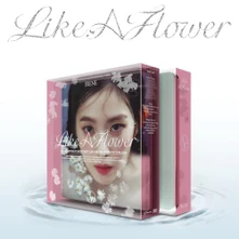 Irene, CD Like a Flower