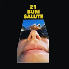 Party Dozen – 21 BUM SALUTE (Transparent Vinyl) (Vinyl)