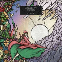 CD Bloom