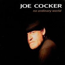 Vinyl No Ordinary World